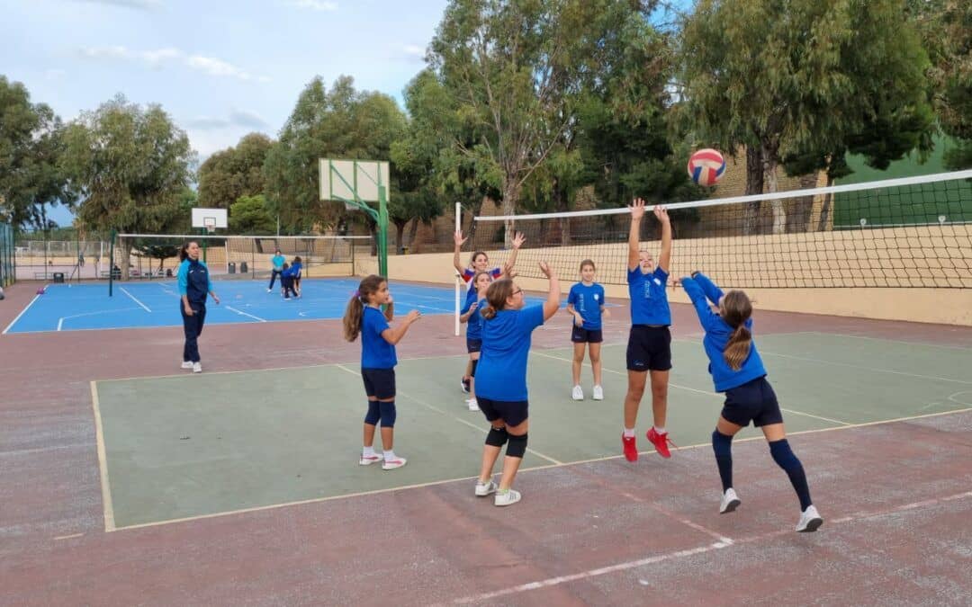 Voley